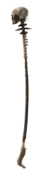 Spine Rod