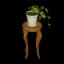 Houseplant and Chair